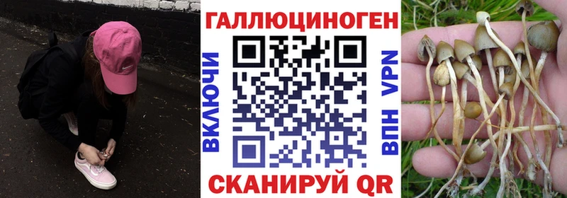 Купить  Сосновоборск  Галлюциногенные грибы прущие грибы 